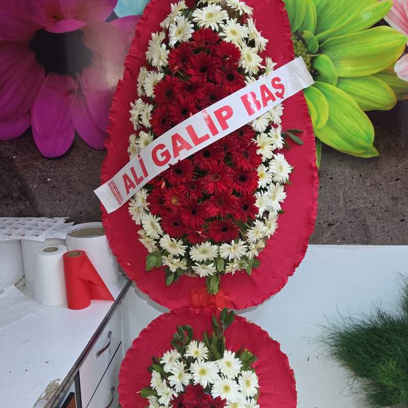 NO:24 CANLI ÇELENK İKİLİ FİYAT:3500 TL